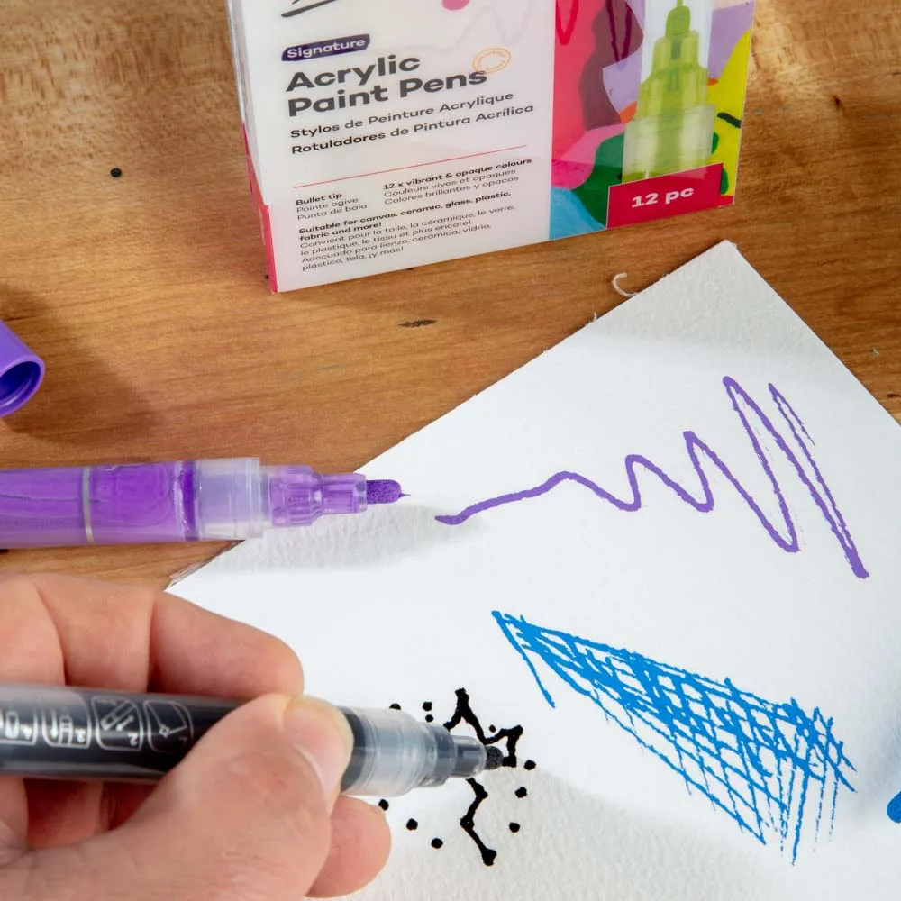 Acrylic Paint Pens Signature Broad Tip 12pc