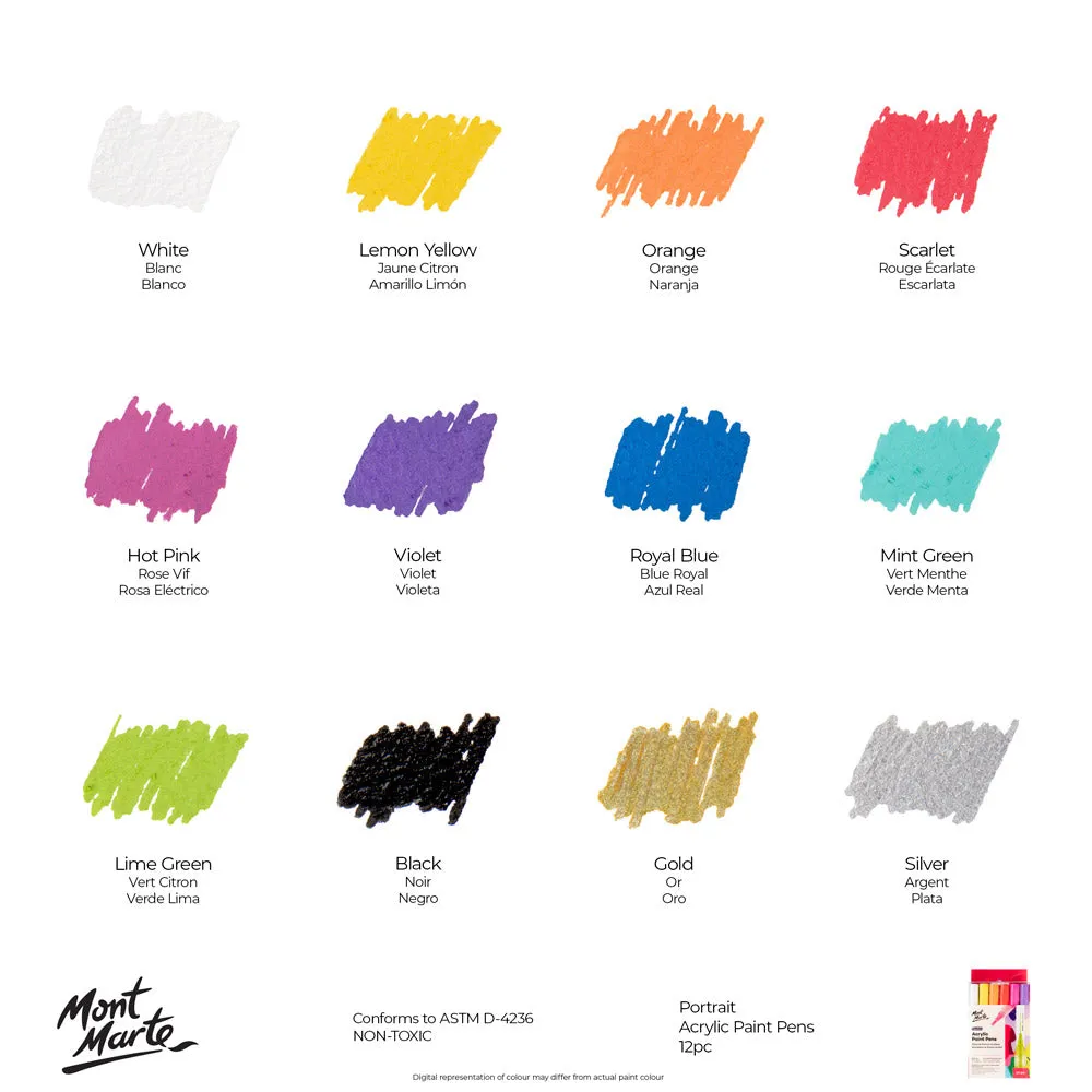 Acrylic Paint Pens Signature Broad Tip 12pc
