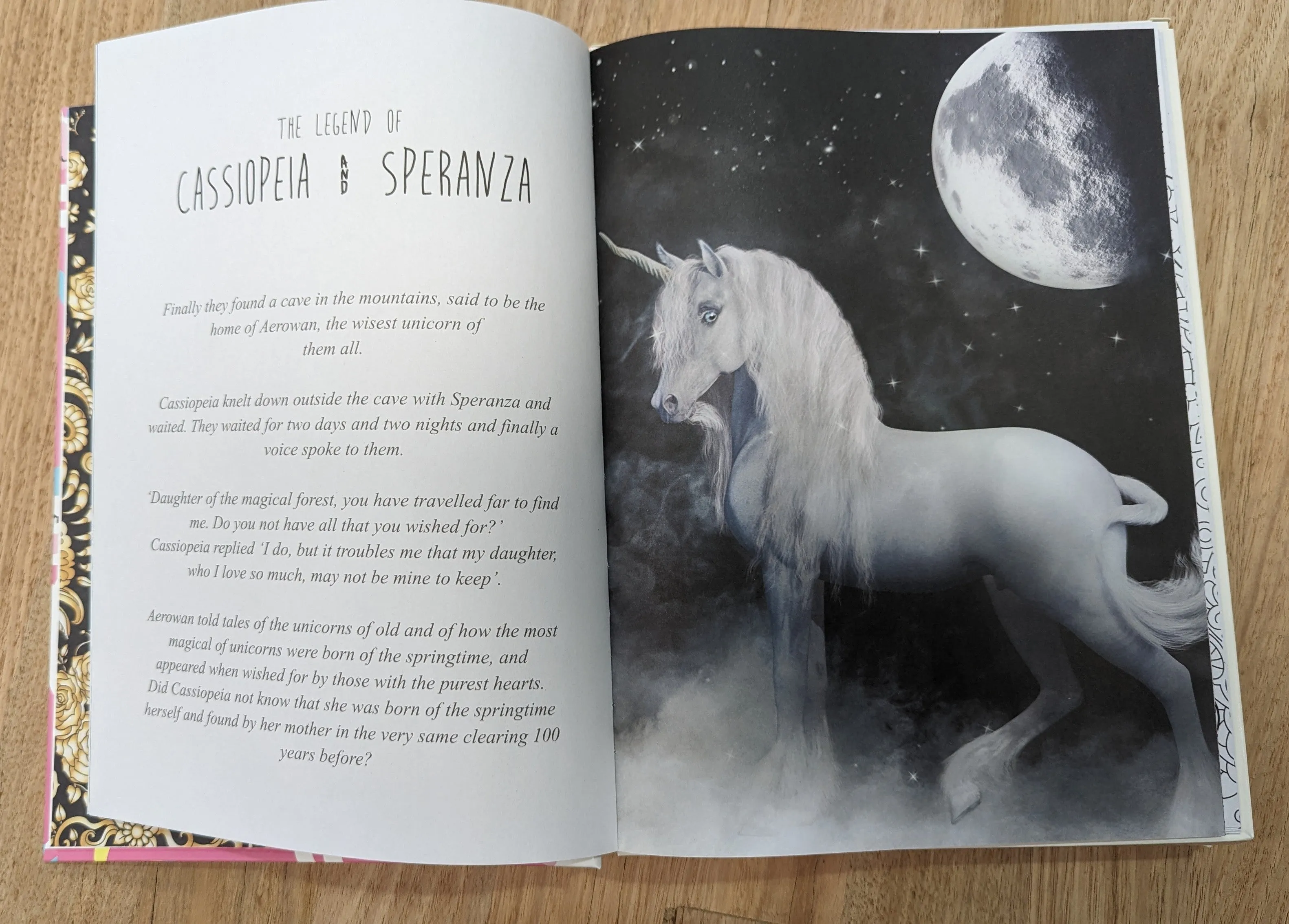 Unicorn Puzzle Book
